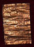Dexfixio pact