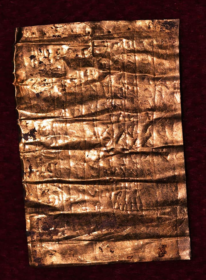 Dexfixio pact